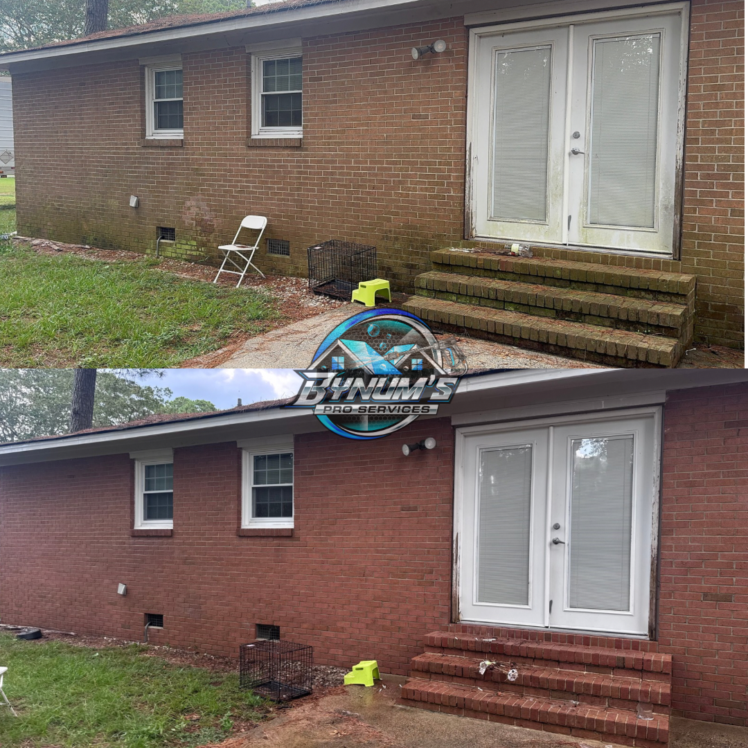 Exterior cleaning project